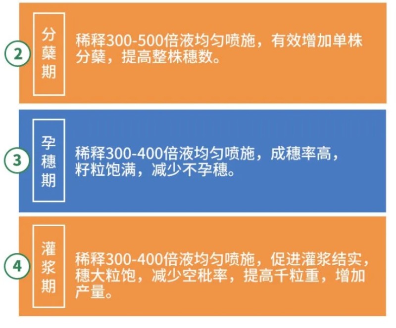水稻灌浆肥水稻专用高产叶面肥稻黄金分蘖多返青快抗倒伏生根