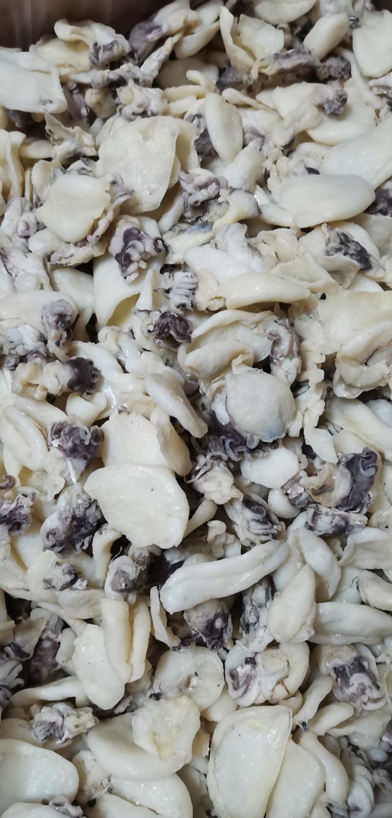 乌贼纯肉微咸肉质清脆深海乌贼可炒煮清蒸煲汤