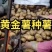 河兰八零六，沃土五，V七，尤金种薯。规格齐全价格实惠