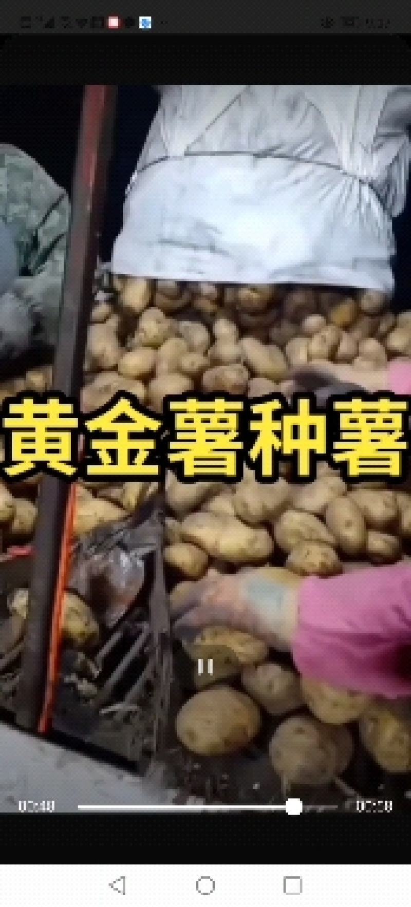 河兰八零六，沃土五，V七，尤金种薯。规格齐全价格实惠