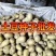 河兰八零六，沃土五，V七，尤金种薯。规格齐全价格实惠