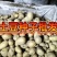 河兰八零六，沃土五，V七，尤金种薯。规格齐全价格实惠