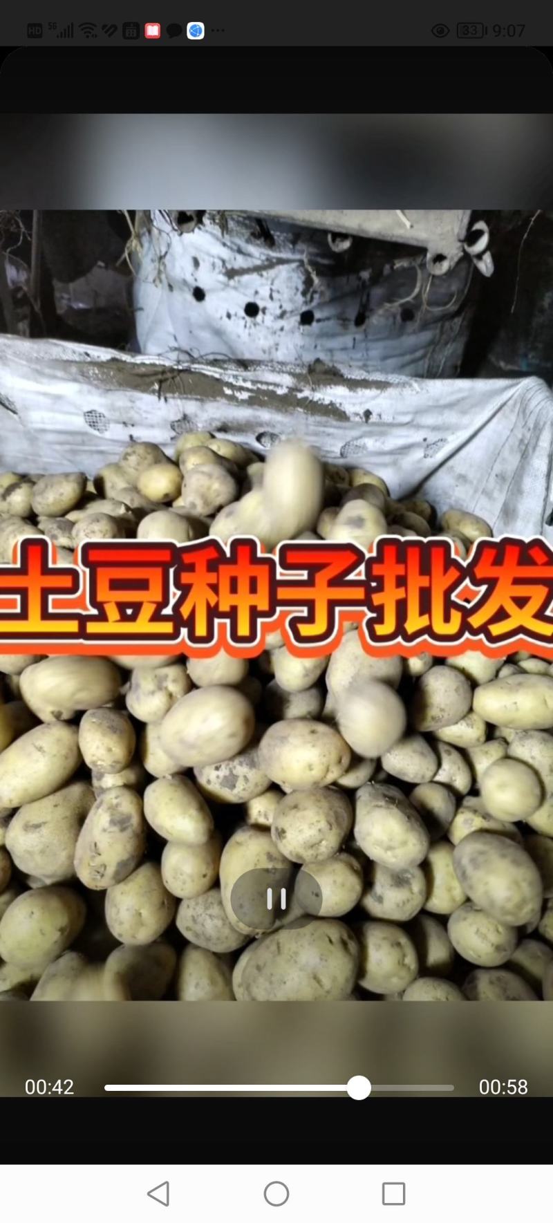 河兰八零六，沃土五，V七，尤金种薯。规格齐全价格实惠