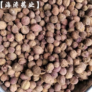 【砂仁】国产砂仁进口砂仁产.中药材批发.质量保证规格齐全
