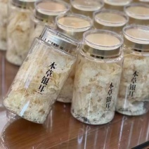 本草银耳源头厂家大量批发资质齐全OEM贴牌代加工