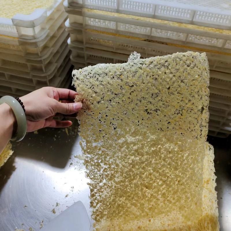 本草银耳源头厂家大量批发资质齐全OEM贴牌代加工