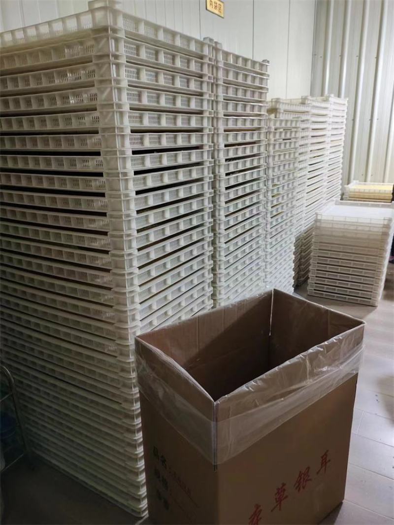 本草银耳源头厂家大量批发资质齐全OEM贴牌代加工