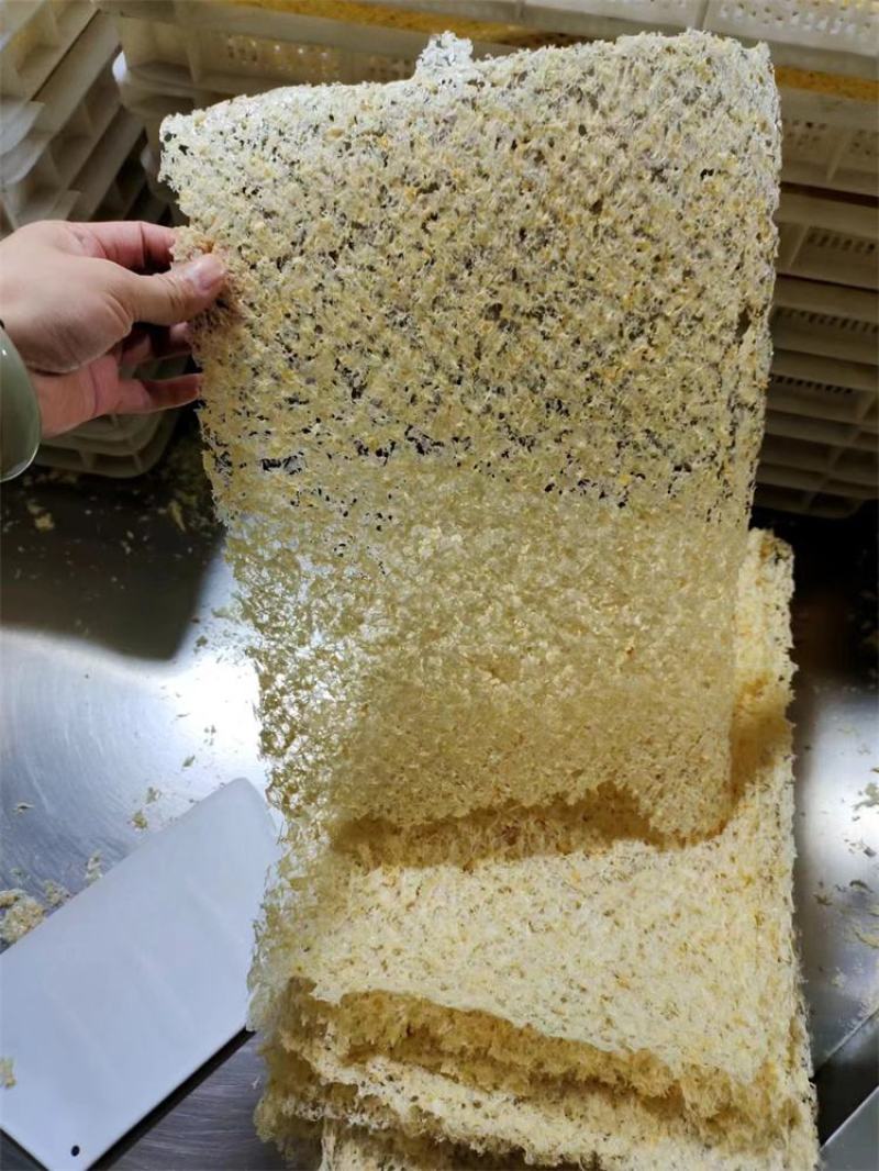 本草银耳源头厂家大量批发资质齐全OEM贴牌代加工