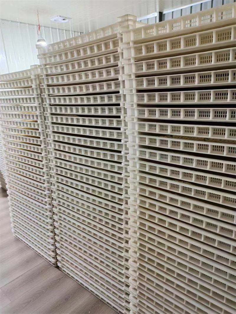 本草银耳源头厂家大量批发资质齐全OEM贴牌代加工