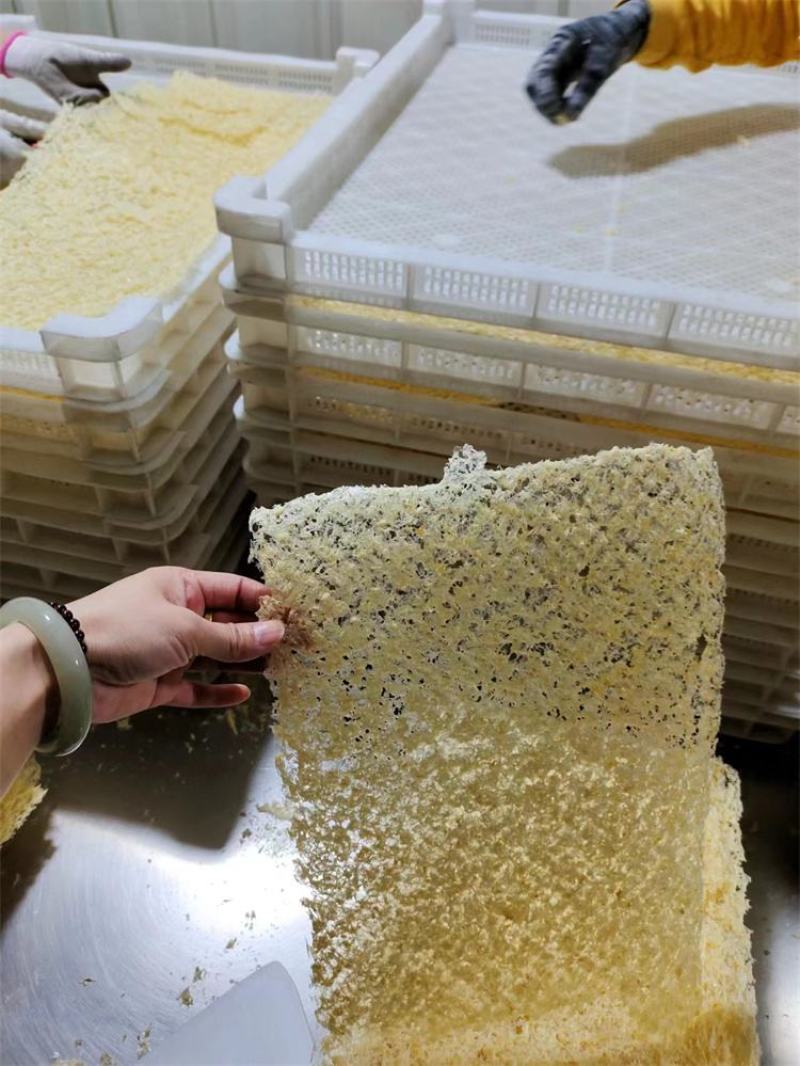 本草银耳源头厂家大量批发资质齐全OEM贴牌代加工