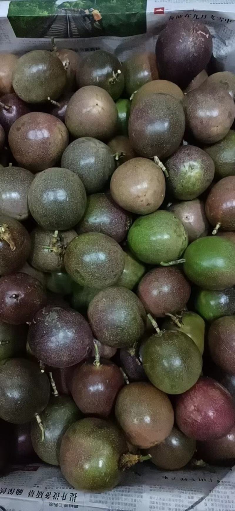 台农，紫香百香果，货源稳定，大量有货，一件代发