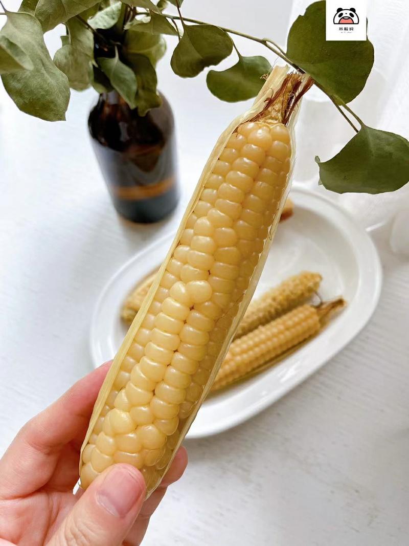 西双版纳拇指玉米真空包装开袋即食非转基因香糯可口
