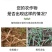 根多多生根剂壮苗剂生根粉苗木扦插移栽通用生根剂