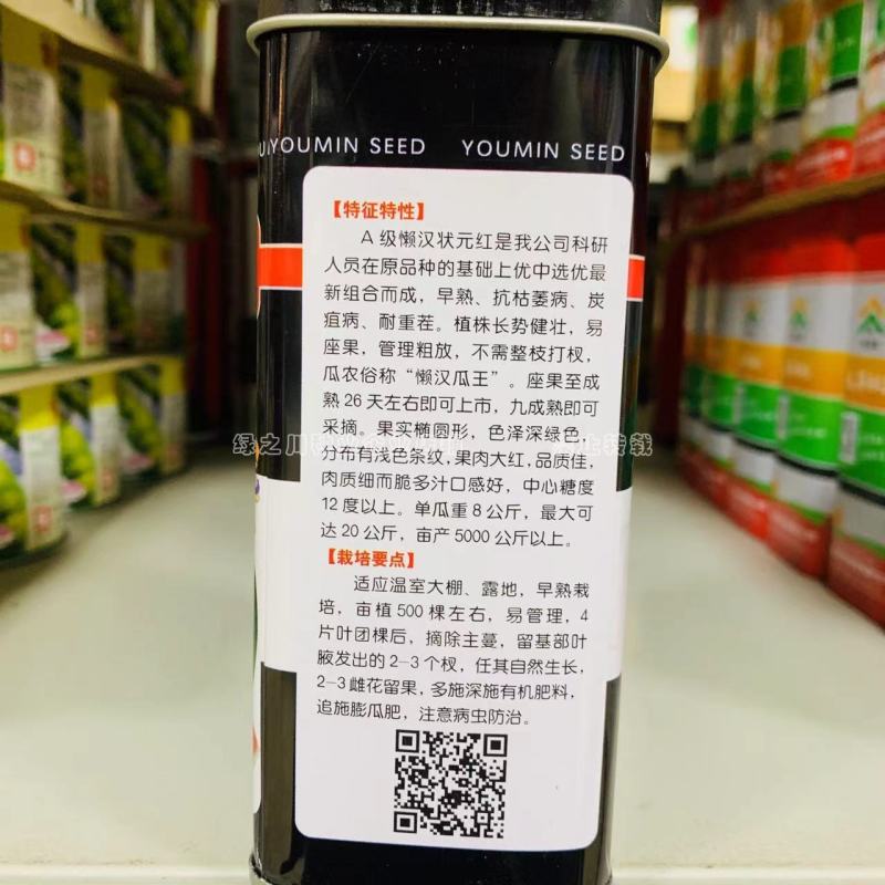 麦地棉花地套种均可懒汉西瓜种子早熟双抗耐重茬懒汉瓜王西瓜