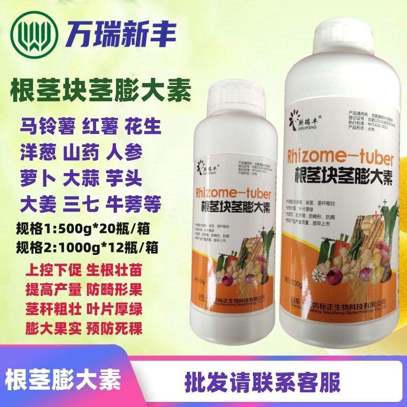 根茎块茎膨大素地下猛长萝卜土豆花生红薯大姜山药洋葱膨