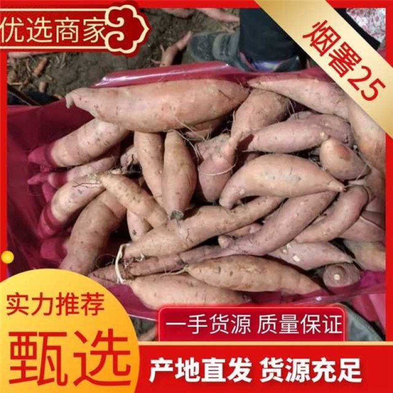 烟薯25小薯！地窖存货挑出来的下检货4两以下通货股肚就算
