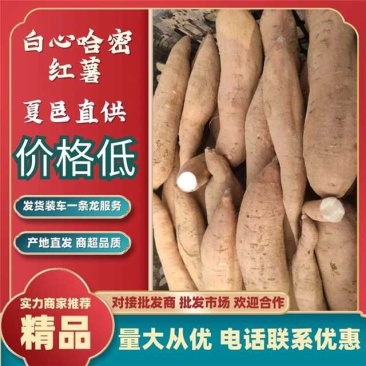 白哈密蜜薯二两以上通精品块整无勾眼！口感软甜！生吃脆甜！