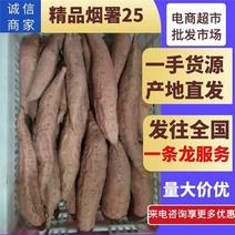 河北【烟薯25】水洗通货和精品质量挑货大量供货！