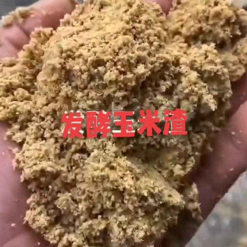 发酵玉米渣