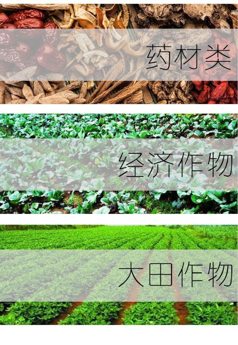 速利流体钙番茄苹果柑橘樱桃果蔬补钙叶面肥预防脐腐裂果苦