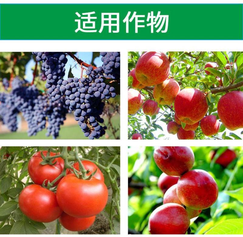 速利流体钙番茄苹果柑橘樱桃果蔬补钙叶面肥预防脐腐裂果苦