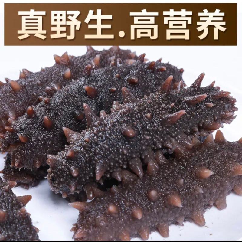 霞浦海参水鬼捕摸海参白煮海参不包冰水不搓盐