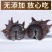 霞浦海参水鬼捕摸海参白煮海参不包冰水不搓盐