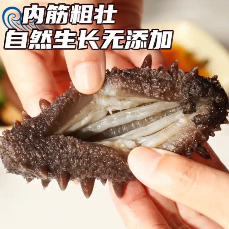 霞浦海参水鬼捕摸海参白煮海参不包冰水不搓盐