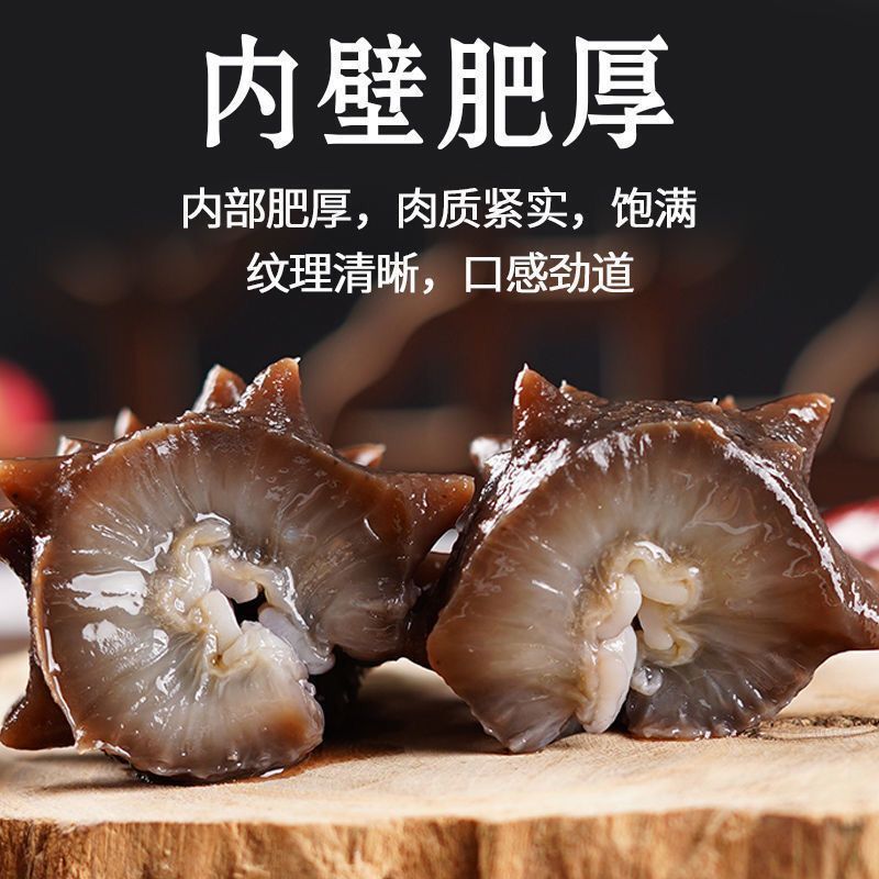 霞浦海参水鬼捕摸海参白煮海参不包冰水不搓盐