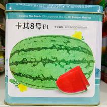 西瓜种子卡其8号大果型西瓜抗病耐重茬椭圆形西瓜种籽