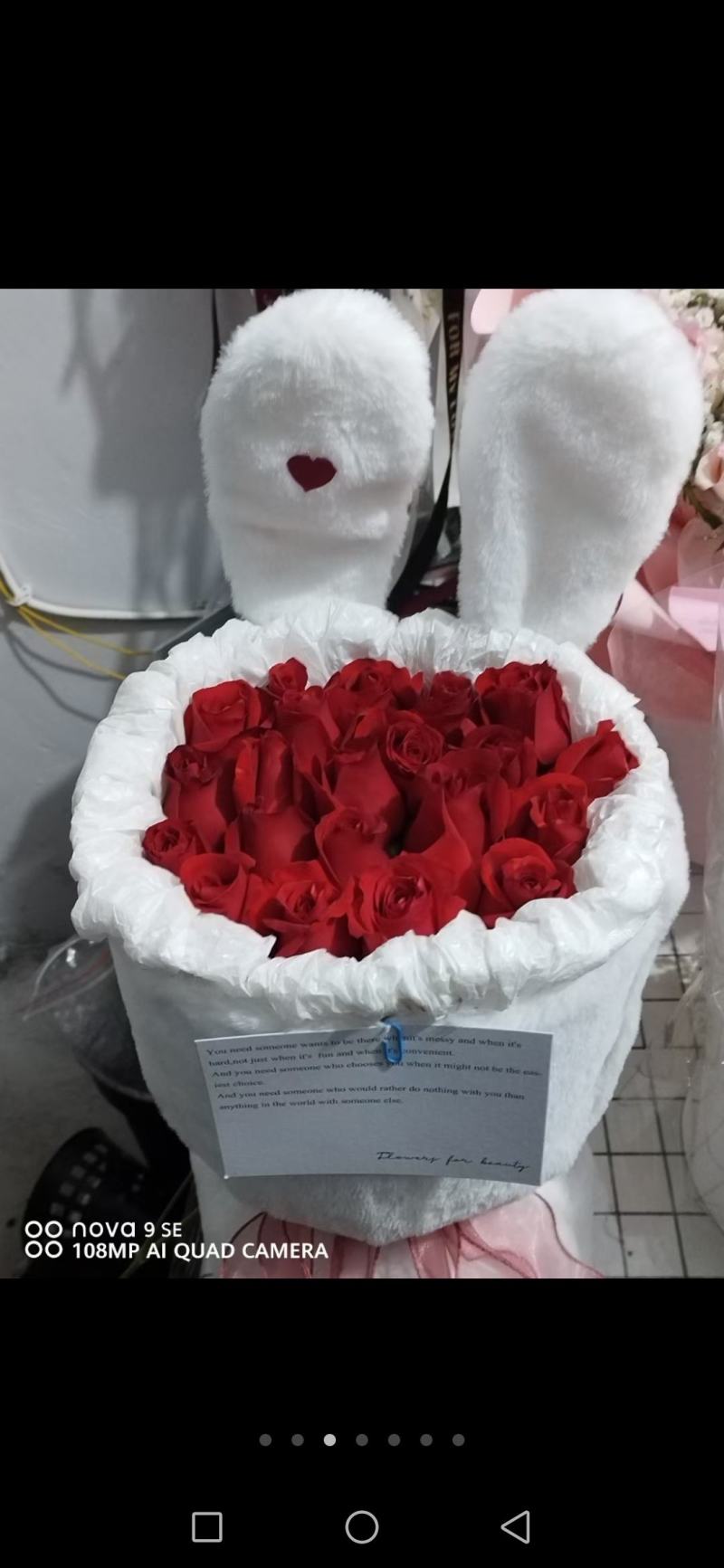 玫瑰鲜切花基地