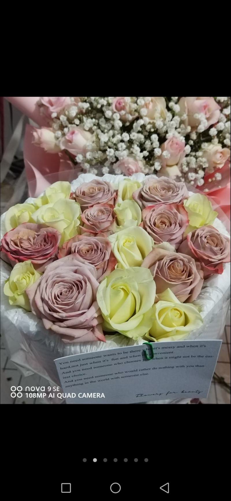 玫瑰鲜切花基地