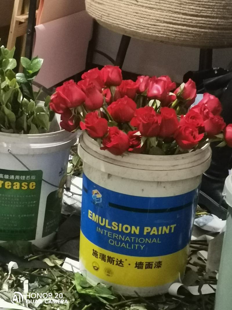 玫瑰鲜切花基地