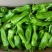 【精品苗】辣椒苗薄皮菜椒苗泡椒苗苏椒5号抗病免费技术指导