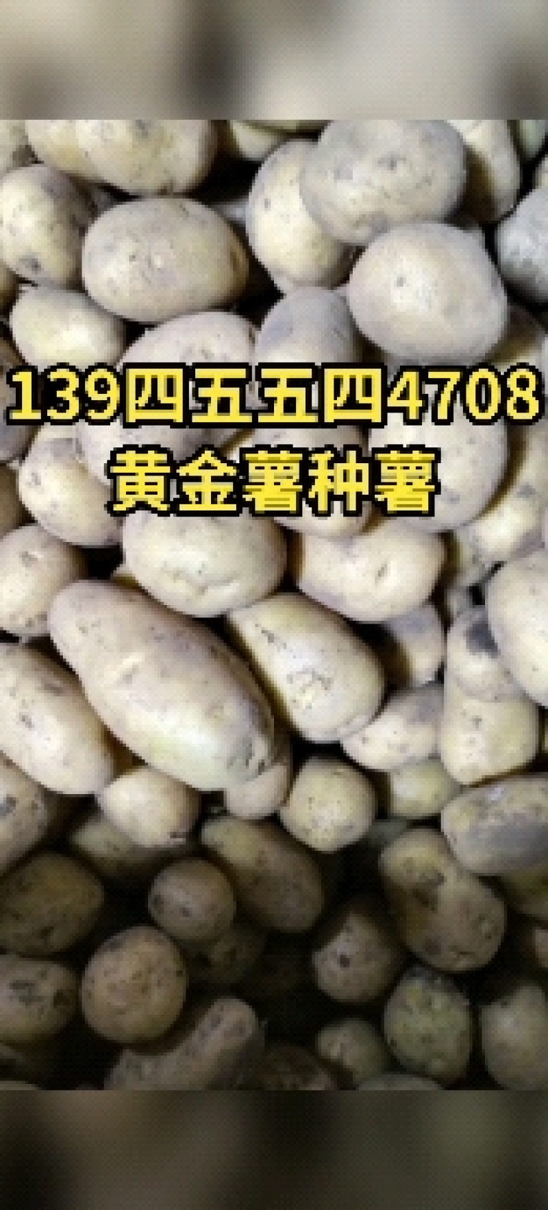 沃土五，河兰八零六，尤金，V七规格齐全价格实惠欢迎咨询联