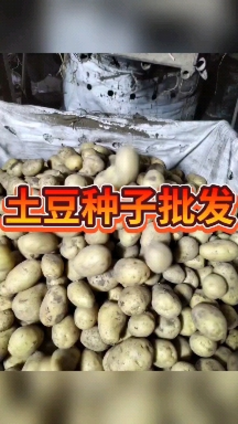 河兰八零六，沃土五，V七，尤金，规格齐全价格实惠欢迎咨询