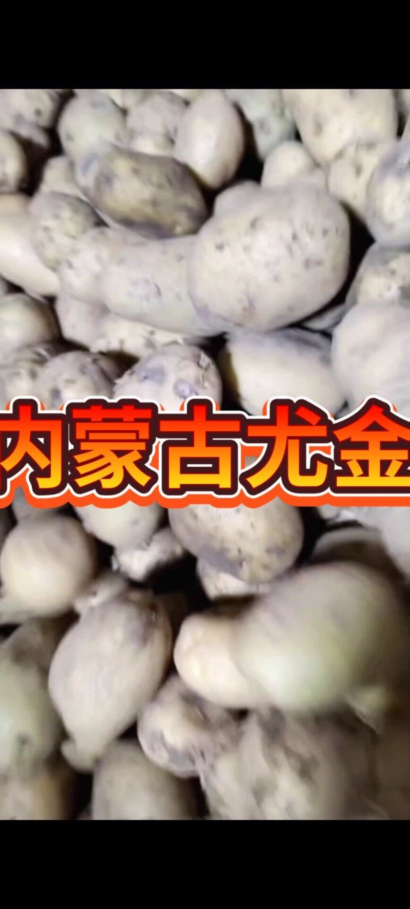 河兰八零六，沃土五，V七，尤金，规格齐全价格实惠欢迎咨询