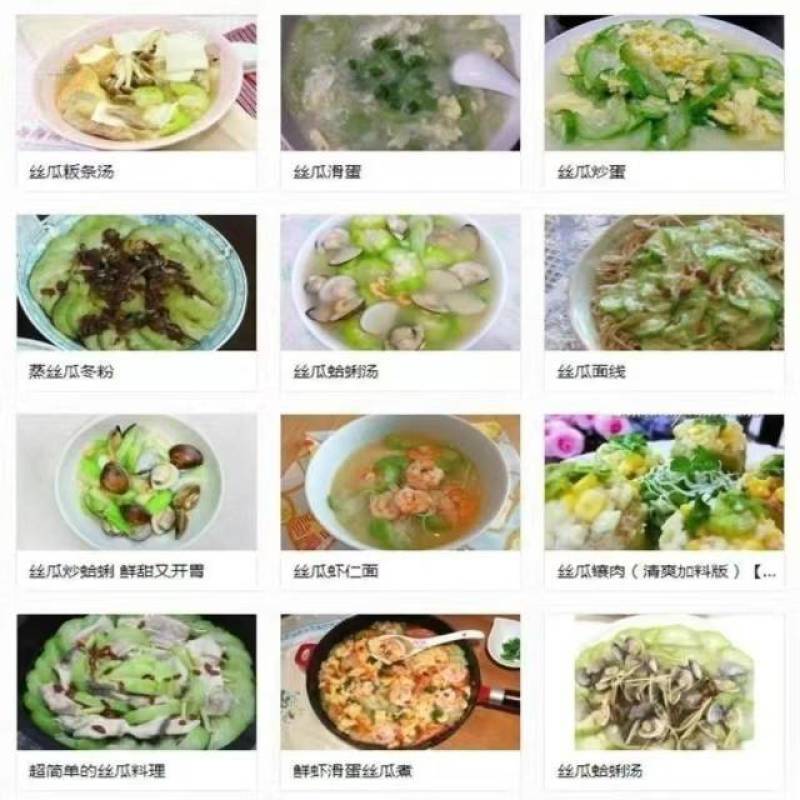 丝瓜苗早熟高产多肉丝瓜苗
