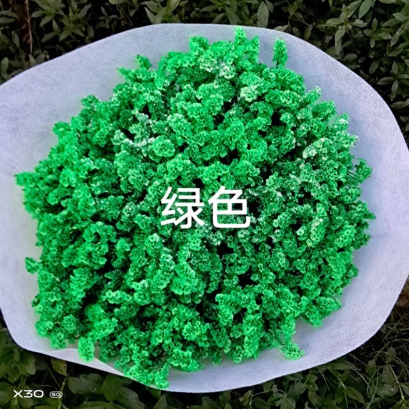 干花染色水晶草一斤颜色齐全云南鲜花直发