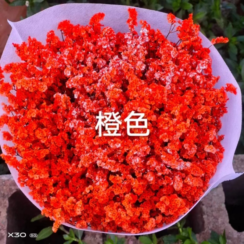 干花染色水晶草一斤颜色齐全云南鲜花直发