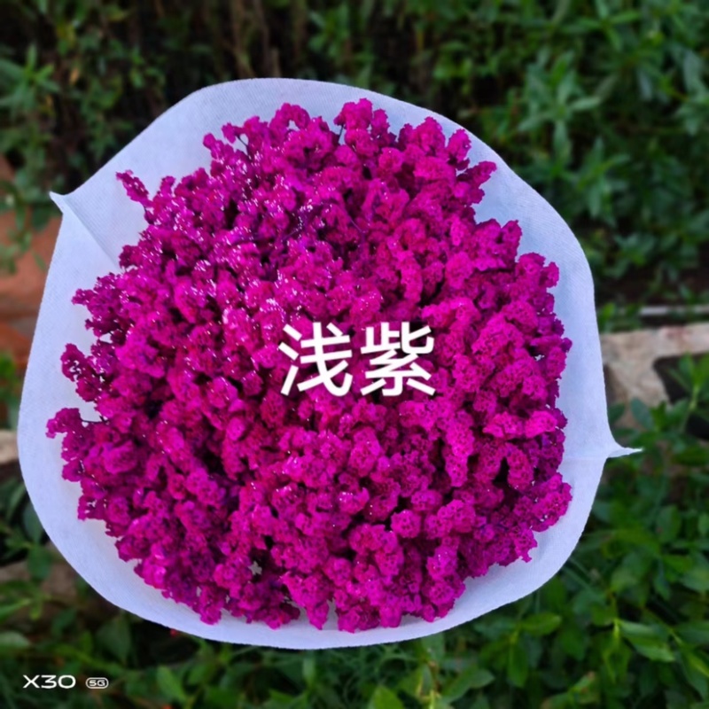 干花染色水晶草一斤颜色齐全云南鲜花直发