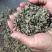 金庭西山洞庭山碧螺春开採，浓香型，.纯手工炒制，货源充足