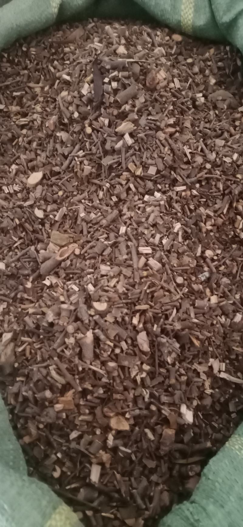 【桑寄生】产地广东一手货源大货供应.规格齐全量大优惠