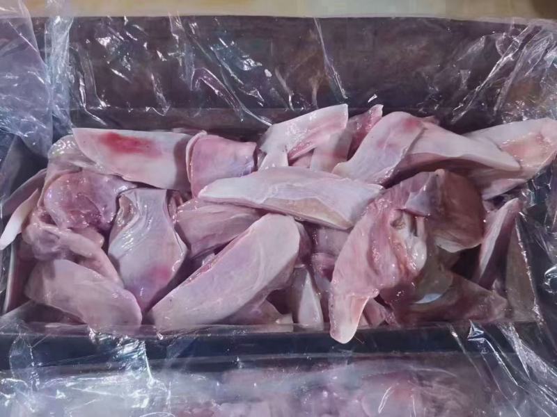 厂家直销乳牛月牙骨牛骨头一手货源，全国发货，手续齐全