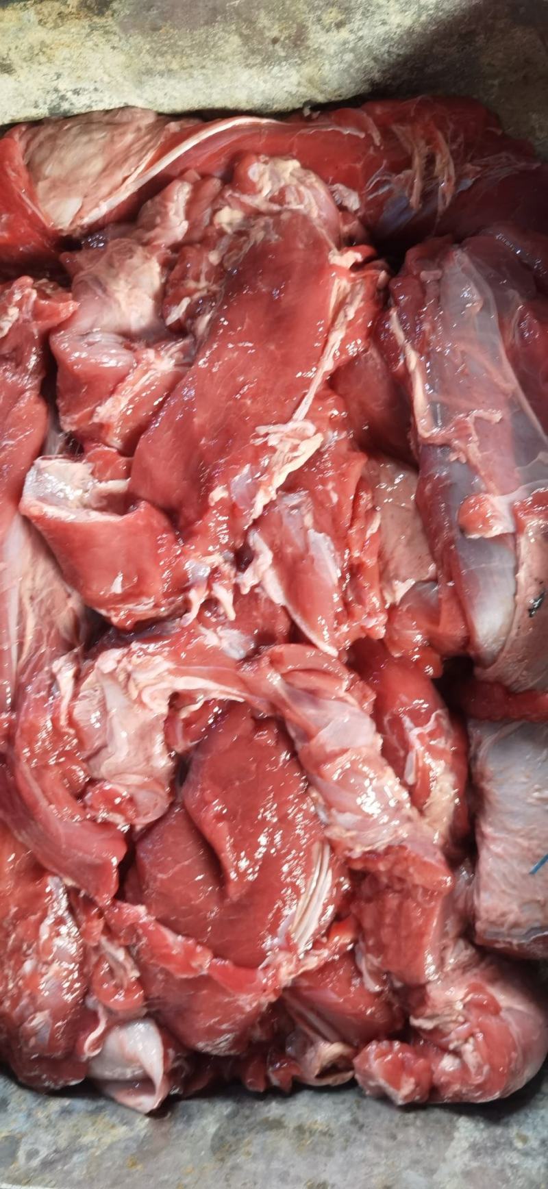 乳牛肉，牛肉冻牛肉·乳牛肉冷冻牛肉保证手续齐