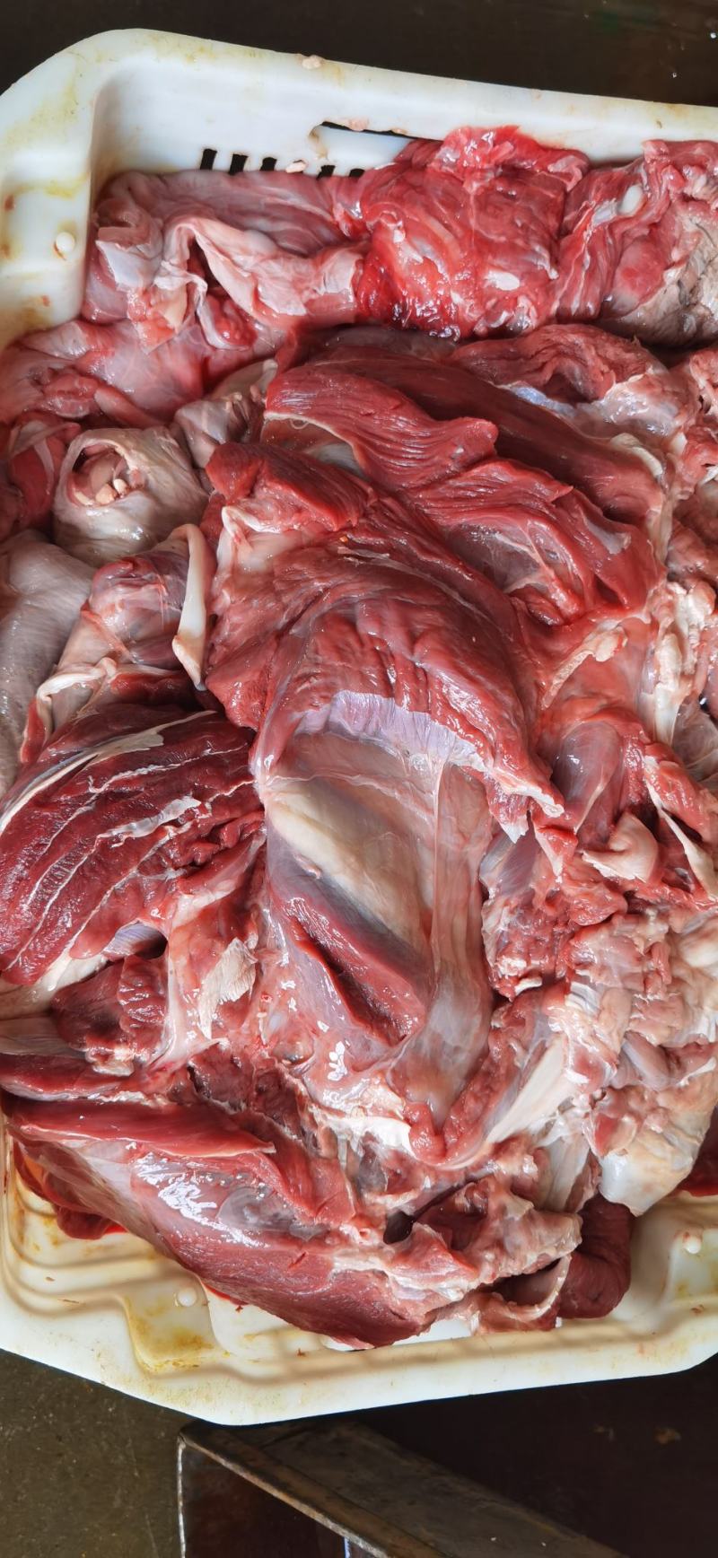 乳牛肉，牛肉冻牛肉·乳牛肉冷冻牛肉保证手续齐