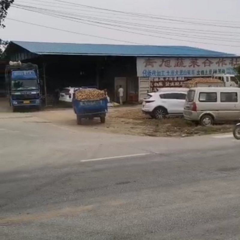 常年代收玉米小麦，平度玉米即将大量上市，有厂房2000平