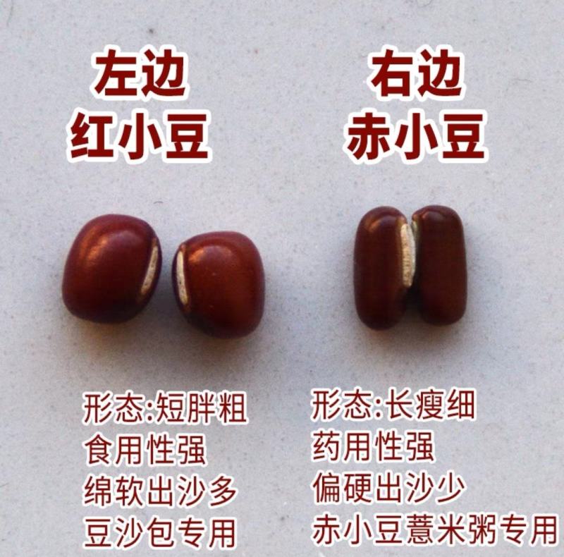 【红小豆】东北红豆红小豆10斤袋装非转基因红小豆包邮
