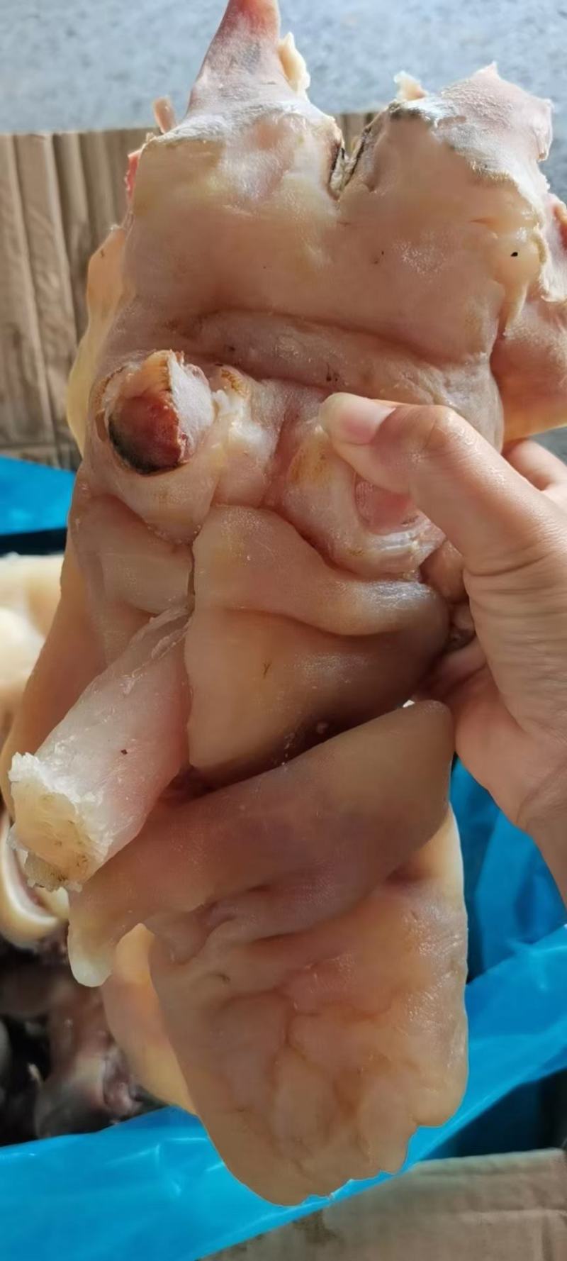 【实力推荐】手工火烧毛全去骨熟牛蹄，纯干货鲜货实拍。