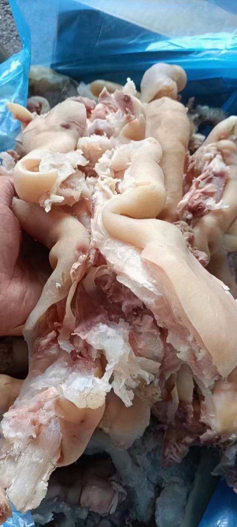 【实力推荐】手工火烧毛全去骨熟牛蹄，纯干货鲜货实拍。